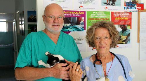 Ilha do Maio regista menos cães e gatos nas ruas e melhorias na saúde pública – Associação Joaninha