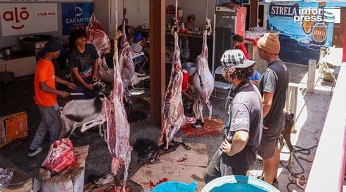 São Filipe: Matança na Casa da Bandeira garante carne fresca para o Dia do Município