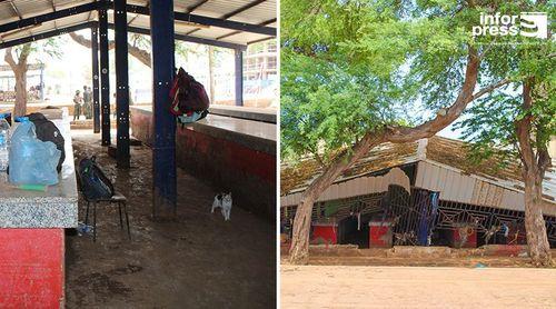 São Vicente/Chuvas: No meio de destroços vendedora Betinha guarda esperança de se reerguer (c/áudio)