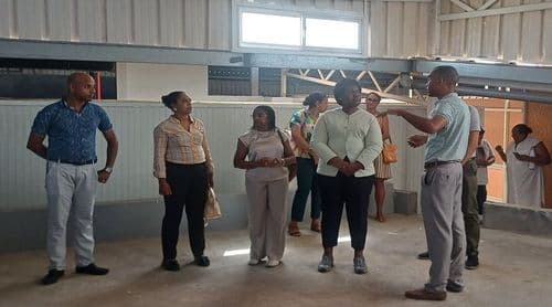 São Nicolau: Governo considera essencial o contributo da Fábrica SUCLA para o sector das Pescas