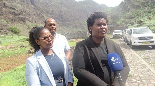 Santo Antão: Governo conta com apoio técnico da China no combate à praga de mil pés - ministra