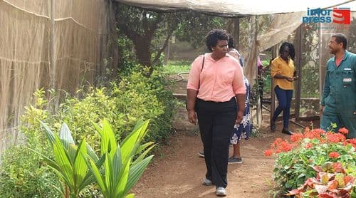 São Nicolau: Governo compromete-se a reforçar mobilização de água para responder às preocupações dos agricultores de Fajã 