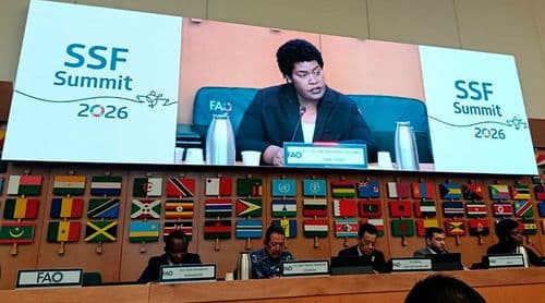 Ministra da Agricultura e Pescas representa Cabo Verde na 37.ª sessão do Comité das Pescas da FAO