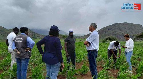 Ano Agrícola/Santiago Norte: Ministro da Agricultura visita municípios para se inteirar da campanha agrícola  (c/áudio)
