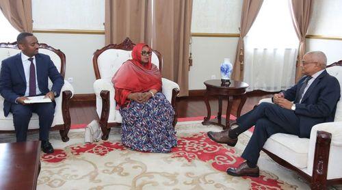 Cabo Verde e República do Djibouti discutem possibilidade de cooperação bilateral