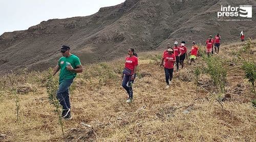 Legislativas2026/São Nicolau: MpD reforça compromisso com agricultura e escuta das comunidades em Cabeçalinho