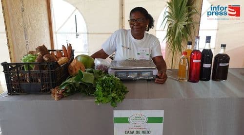 Porto Novo: Dia Internacional das Mulheres Rurais assinalado com jornada técnica de inovação e extensão rural 