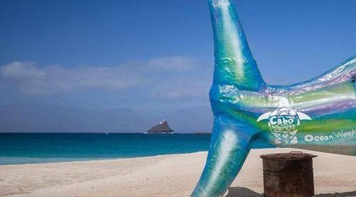 Ocean Summit’2025 terá foco na literacia do oceano e aposta no envolvimento das comunidades costeiras – organização