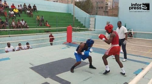 Desporto: Seis atletas de São Vicente participam do Open Boxe Porto Novo