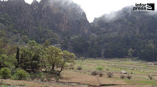 Terrimar promove sensibilização sobre importância da flora endémica de Santo Antão 