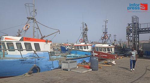 Praia: Les armateurs sont d'accord avec la fermeture de la pêche, mais appellent à soutenir les professionnels de la pêche