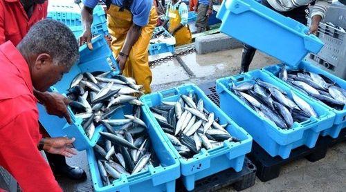 Praia: Associação de Pescadores e Peixeiras de Achada Grande Trás e São Tomé (APPAST) celebra Dia das Peixeiras na zona de Marrocos