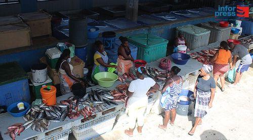 Vendedeiras de peixe congratulam-se com Dia Nacional das Peixeiras e pedem pescadores a baixarem preço do pescado 