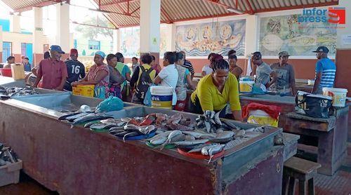 Cooperação Japonesa doa a Cabo Verde 162 mil contos em equipamentos de apoio à pesca