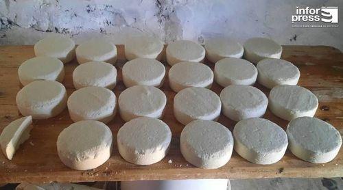 Fogo: Quarta edição da Festa do Queijo Comunidade de Monte Grande principia na segunda-feira