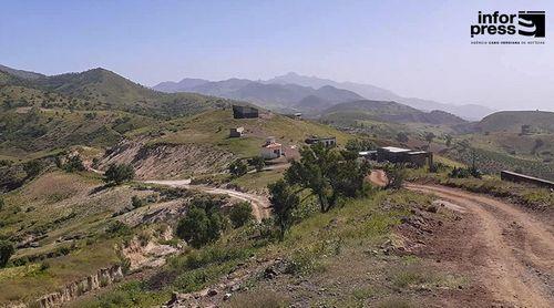 Porto Novo/Planalto Leste: Agricultores alertam para a invasão de gafanhotos que coloca em “sérios riscos” a agricultura