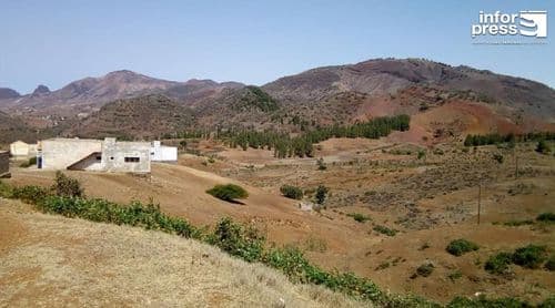 Porto Novo: Falta de mão de obra condiciona sementeira em pó no Planalto Leste, segundo agricultores