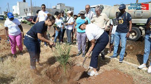 Nações Unidas celebram 80 anos com plantação de árvores frutíferas na Praia