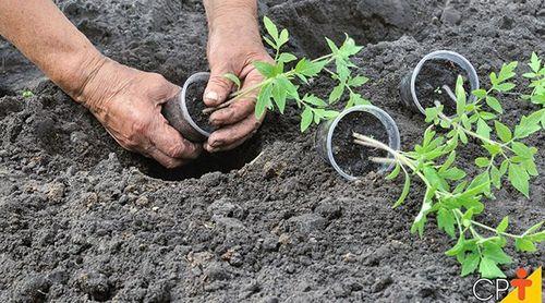 Santa Catarina: ADAD promove actividades de reflexão ambiental no Liceu Amílcar Cabral