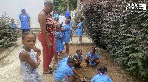 Brava: Associação Biflores e estudantes realizam plantio de árvores nos espaços públicos do município