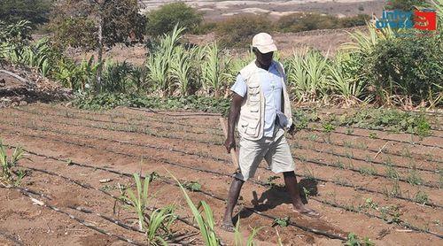 Porto Novo: Projecto sobre agricultura familiar e sustentável ajuda jovens agricultores na preparação de parcelas 