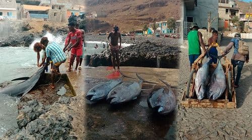 Pescadores de Porto Mosquito denunciam falta de gelo, combustível caro e ausência de estruturas de apoio