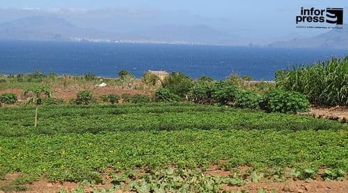 Porto Novo: Mais de 450 famílias com parcelas agrícolas doadas pelo Estado em todo o município – Governo