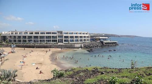 Bióloga alerta que gases do sargaço acumulado nas praias causam irritação na pele (c/áudio)