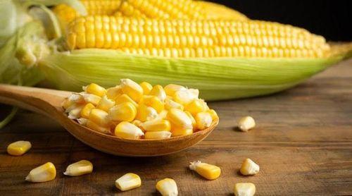 Preços do milho e óleo de soja sobem e trigo e arroz em baixa