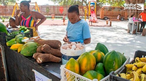 Porto Novo: Produtores agrícolas concluem formação em liderança e comunicação assertiva