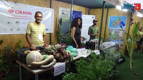 Porto Novo/São João: Produtores agrícolas voltam a alertar para a falta de mão de obra na agricultura