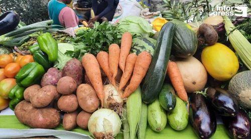 Porto Novo: MAA ultima preparativos para a feira agro-pecuária de Ponte Sul/Chã de Mato