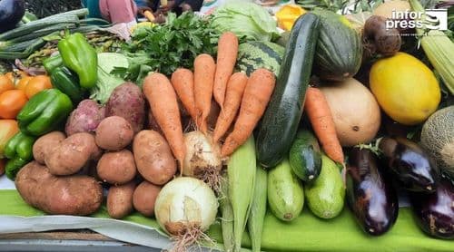 Porto Novo: Edil felicita Família Os Verdes pela realização da 2ª edição da feira “Nós Herança”