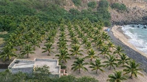 Praia: Projecto “Mar Olímpico” inicia intervenções ambientais no Portinho visando a conservação da praia