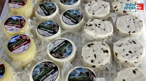 Fogo: Cooperativa Cutelo Capado produz actualmente menos de 100 queijos por dia devido ao impacto da seca – presidente 