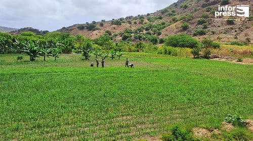 REPORTAGEM/Santa Cruz: Ribeira Seca resiste entre o verde dos campos e dificuldades do quotidiano