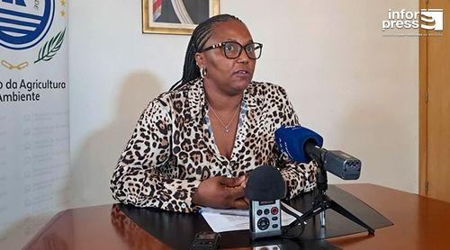 MAA garante abertura ao diálogo com trabalhadores dos Silos Portuários