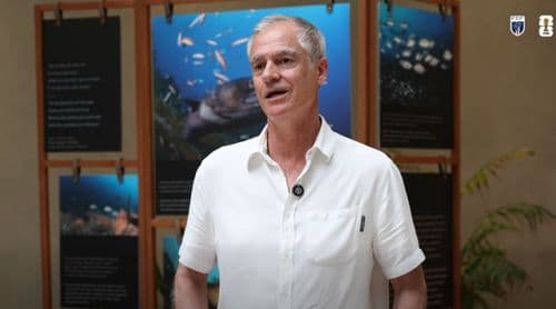 Mundial2026: Rui Águas realça força colectiva dos Tubarões Azuis e manifesta orgulho pelo apuramento