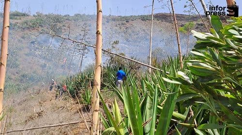 Santa Catarina: Three fires mobilize firefighters from three municipalities and reinforce warnings against wildfires
