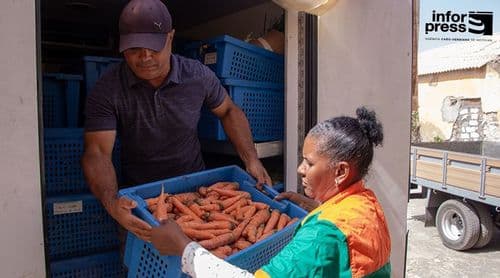 Santo Antão: Profissionalização da Aliança de Produtores avança com assinatura de contratos com entrepostos agrícolas