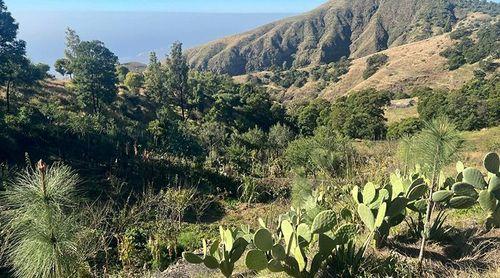 SSanto Antão: ICTA enaltece "premente necessidade" de conservação do solo e água na ilha 