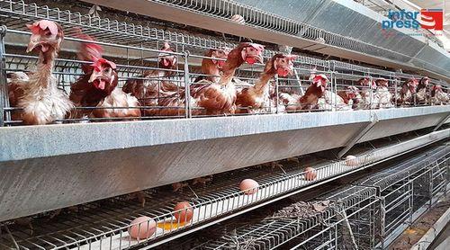 São Vicente/Chuvas: Sociave retoma abastecimento de mercado após prejuízo de mais de 30 mil contos