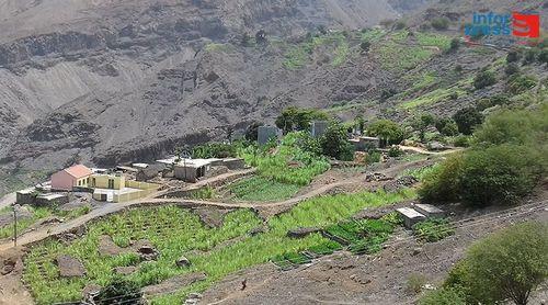Porto Novo/Tarrafal de Monte Trigo: Agricultores ansiosos pela operacionalização do entreposto agrícola