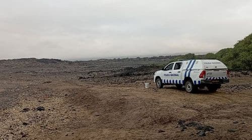 Porto Novo: Terrimar denuncia abate de tartaruga marinha na praia de Matinho Verde