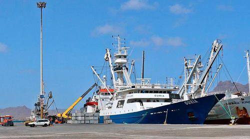 Eurodeputados votam acordo de pescas UE-Cabo Verde aplicável a navios portugueses