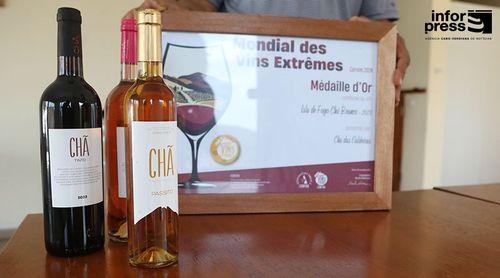 Fogo: Vinho Tinto da adega Chã distinguido com medalha de ouro na XXXIII edição mundial de vinhos extremos