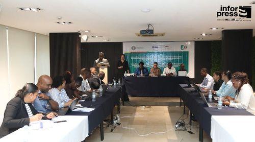 ECOWAS highlights social communication as a "fundamental pillar" for "mitigating the impact of disinformation"