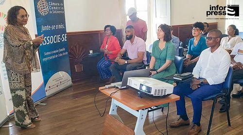 Brava/ODS: Câmara do Comércio de Sotavento e PNUD promovem workshop para o sector privado