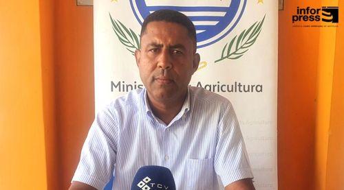 Boa Vista: MAA suspeita de peste suína africana como causa da morte de porcos na Boa Vista