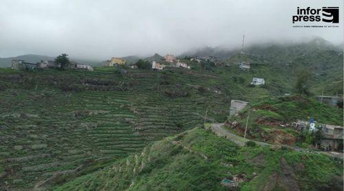 Santo Antão: Agricultores reclamam mais apoio no combate à praga da lagarta- do-cartucho do milho